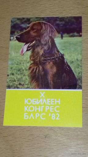 Календарик 1982 Болгария. Собаки