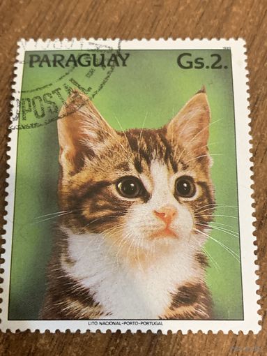 Парагвай 1989. Кошки. Марка из серии