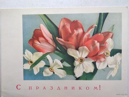 Карточка почтовая ,,с праздником !,, 1966 г., чистая