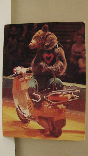 Календарик. Цирк. 1983г.