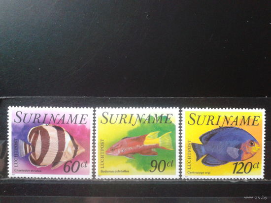 Суринам 1977 Рыбы, Авиапочта** Михель-6,3 евро