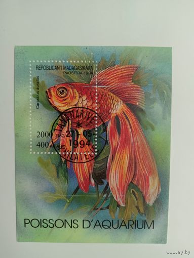 Блок Мадагаскар 1994. Аквариумные рыбки