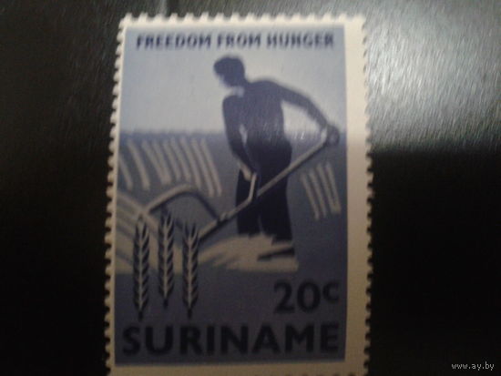 Суринам 1963 крестьянин в поле