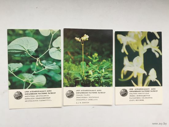 Календарики серии Охраняемое растение (ЛатвССР, 1984)