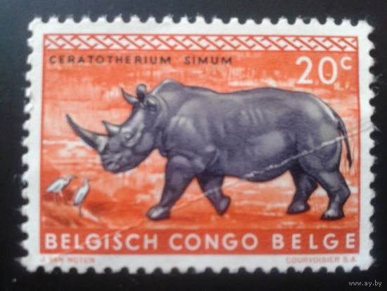 Конго 1959 колония Бельгии носорог