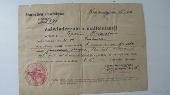 1937 г.  Польша . Справка о прививке лошади  г. Гродно