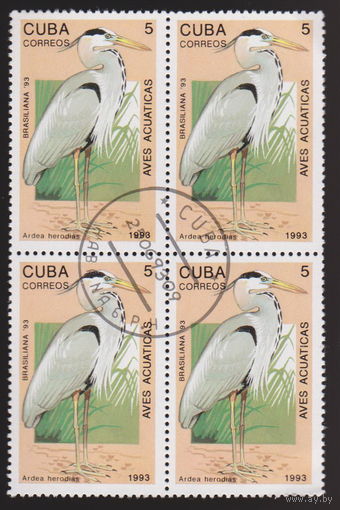 Птицы Фауна Куба 1993 год  лот 2030 КВАРТБЛОК