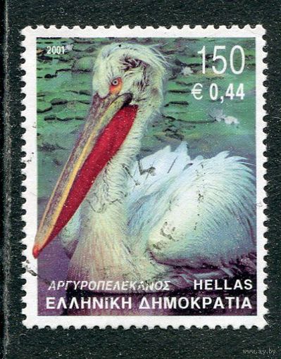 Греция. Фауна. Кудрявый пеликан