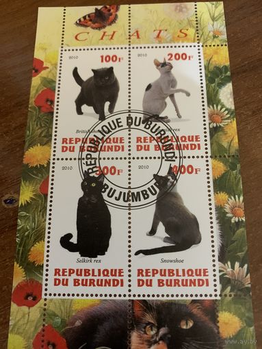 Бурунди 2010. Породы кошек. Малый лист