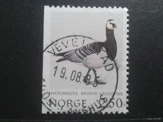 Норвегия 1983 птица