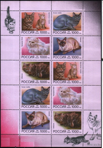 1996 Россия фауна домашние породы кошек МЛ** \\БА