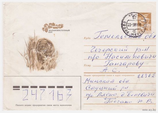 ХМК СССР, прошедший почту. Дальневосточный кот