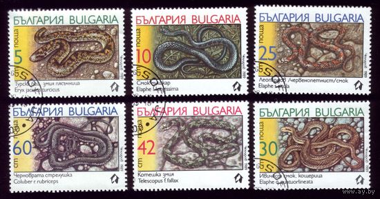 6 марок 1989 год Болгария Гады 3784-3789
