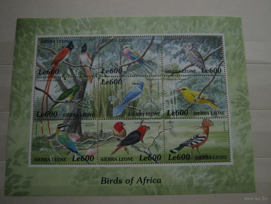 Марки - Сьерра-Леоне блок фауна птицы - сова и др.