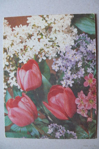 Круцко Б., Телеграмма, Цветы; 1988, двойная, подписана.