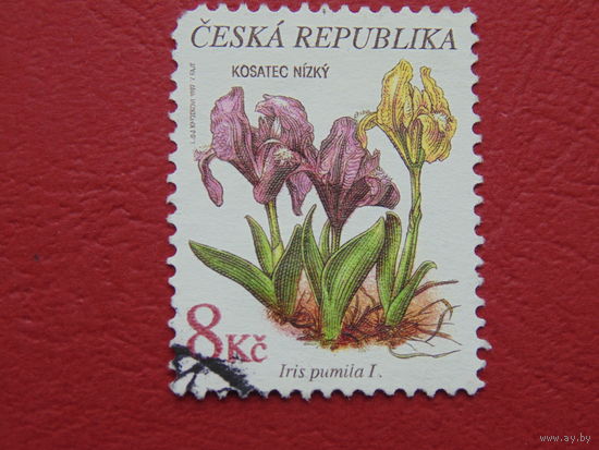 Чехия 1997г.  Флора.