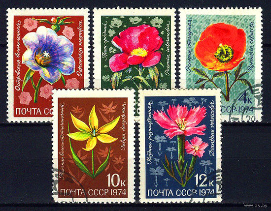 1974 СССР. Цветы