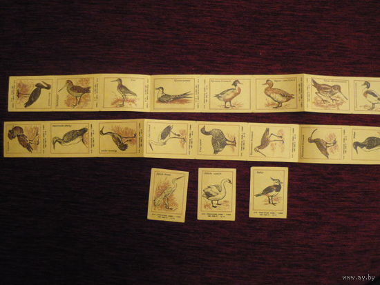 Спичечные этикетки:Птицы.Чудова(желтая бумага)