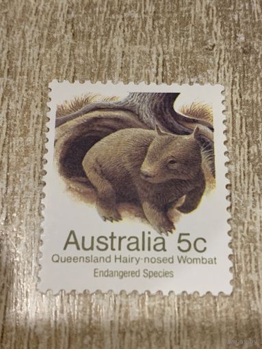 Австралия. Фауна. Wombat. Марка из серии