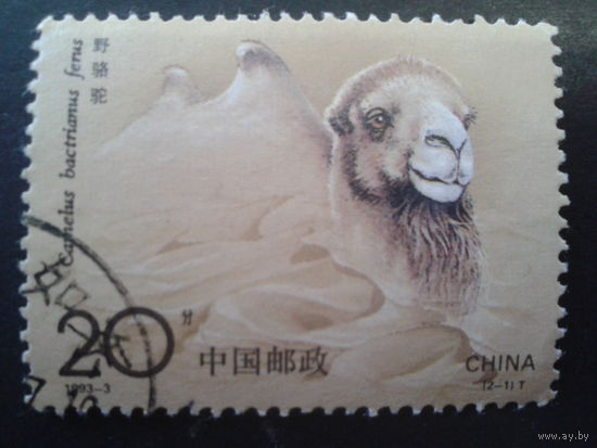 Китай 1993 верблюд