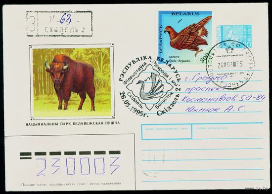 Беларусь 1994 год Художественный маркированный конверт ХМК Национальный парк Беловежская Пуща