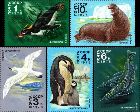 Фауна Антарктиды СССР 1978 год (4846-4850) серия из 5 марок