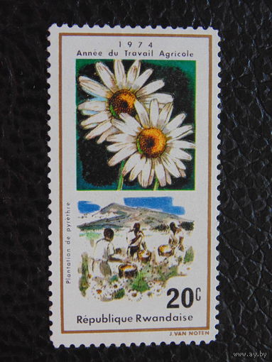 Руанда 1974г.  Флора.