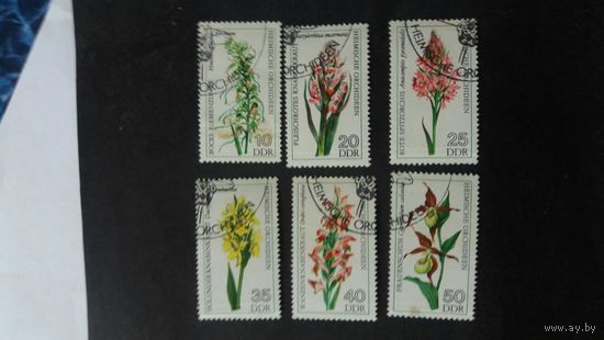 ГДР 1966 6м цветы