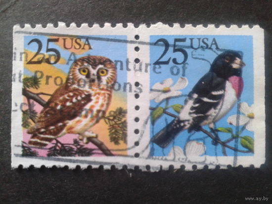 США 1988 стандарт, птицы сцепка