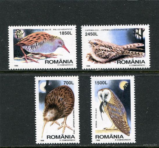 Румыния. Ночные птицы