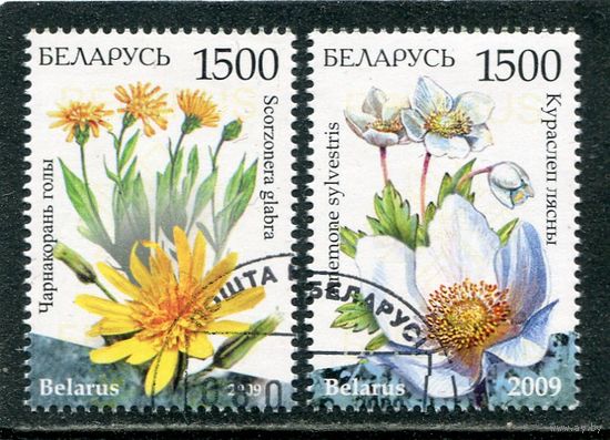Беларусь 2009.. Флора. Цветы