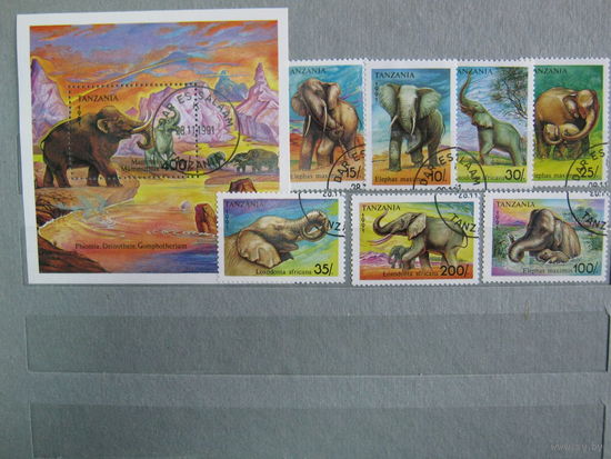 Марки -  Фауна Слоны и мамонты Танзания 1991 год серия из 1 блока и 7 марок