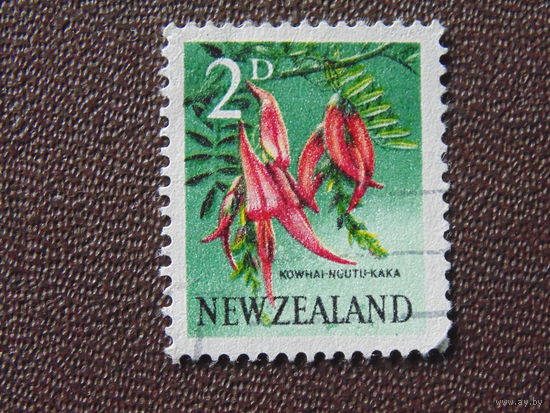 Новая Зеландия. Флора.