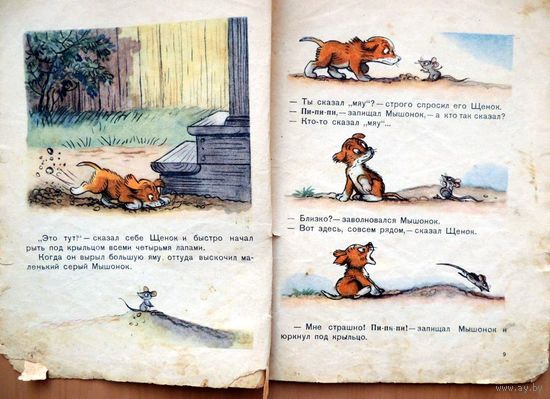 Кто сказал мяу? Владимир Сутеев   Детская литература  1956 год.
