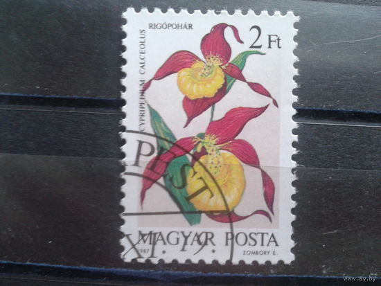 Венгрия 1987 орхидея