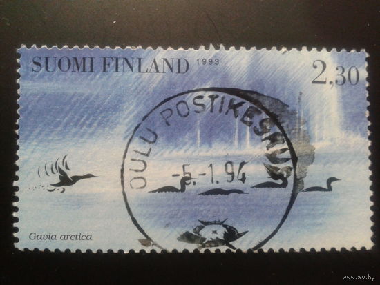Финляндия 1993 утки