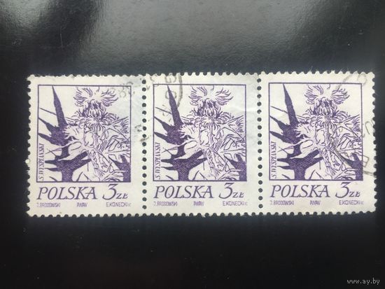 Польша 1974. Стандарт. Цветы (сцепка из 3 марок)