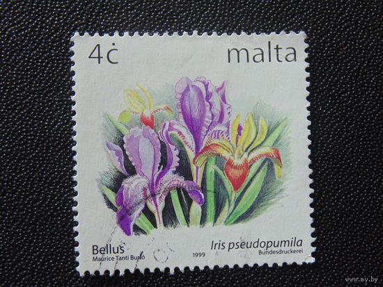 Мальта 1999 г. Цветы.