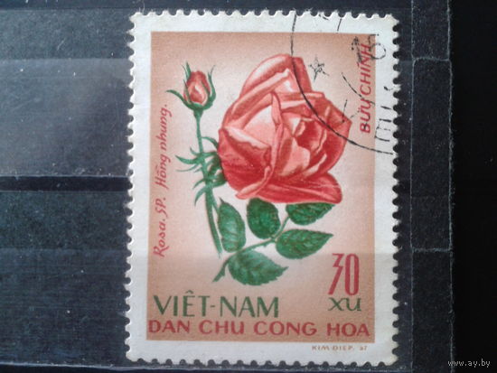 Вьетнам 1968 Роза