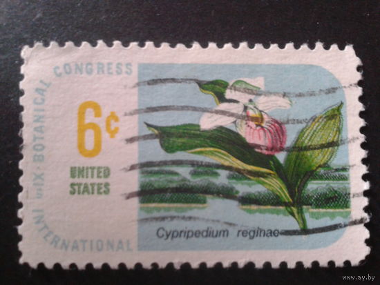 США 1969 цветок