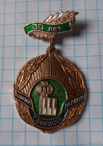 Значок медаль 30 лет фабрики пианино г.Борисов БССР.