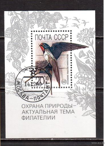 СССР-1989 (Заг.Бл.214)  гаш. , Охрана природы
