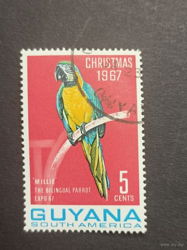 Гайана 1967. Попугаи. Рождество