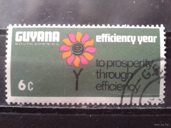 Гайяна 1968 Год эффективности, цветок