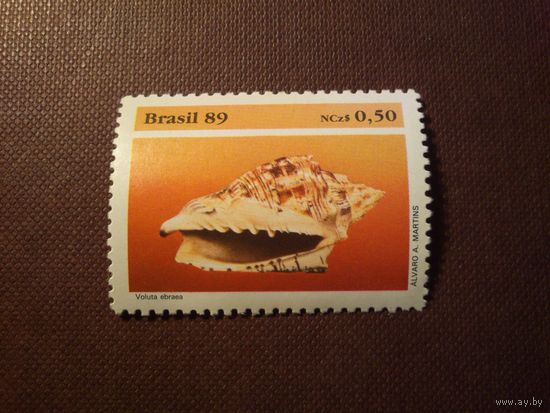 Бразилия 1989 г.Сохранение дикой природы - морская улитка Voluta ebraea.
