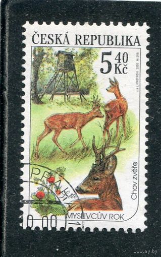 Чехия. Фауна леса