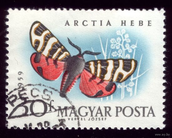 1 марка 1959 год Венгрия Бабочка 1634