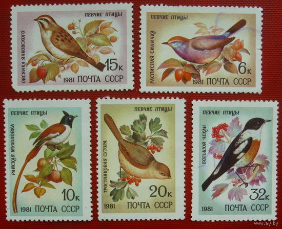 СССР. Певчие птицы. ( 5 марок ) 1981 года. 2-14.