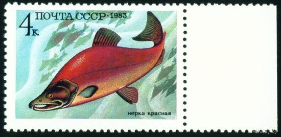 Промысловые рыбы СССР 1983 год 1 марка