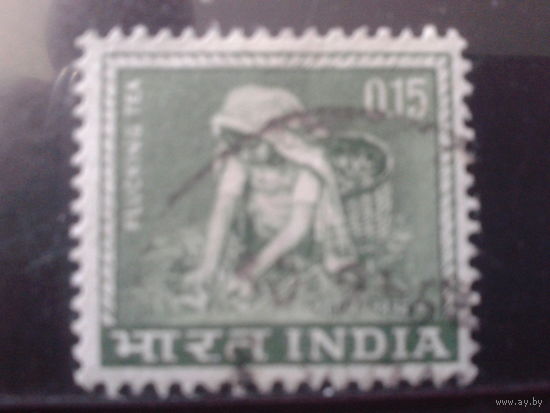 Индия 1965 Стандарт, сбор урожая чая